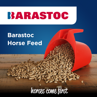 Barastoc