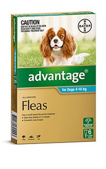 ADVANTAGE Med Dog 6pk Blue 4-10kg