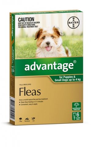 ADVANTAGE Small Dog 6pk Green 0-4 kg