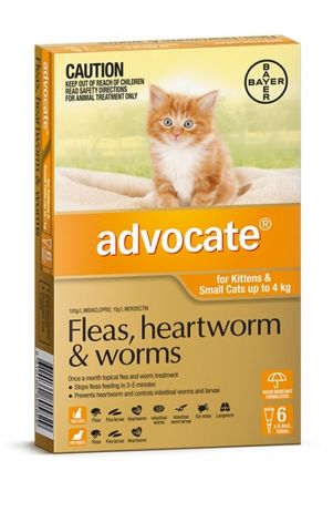 ADVOCATE Kitten/Small Cat Orange 1-4kg 6pk