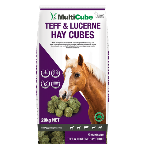 MULTICUBE Teff & Lucerne Hay Cubes 20kg  (50)