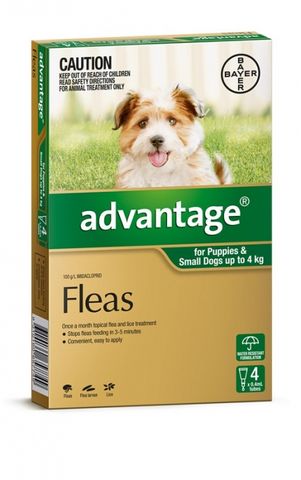 ADVANTAGE Small Dog 4pk Green 0-4kg