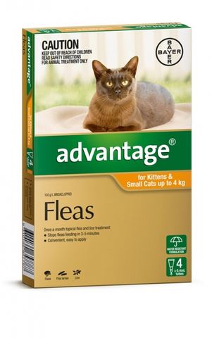 ADVANTAGE Small Cat Orange 4pk 0-4kg