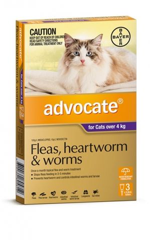 ADVOCATE Purple +4kg Cat 3pk