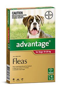 ADVANTAGE Lge Dog 4pk Red 10-25kg