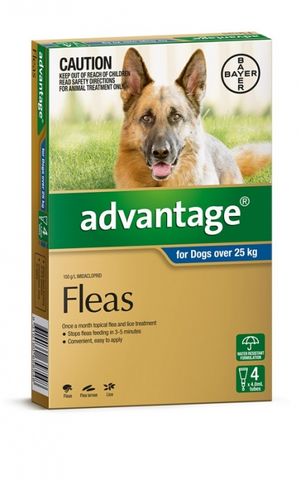 ADVANTAGE X/lge Dog  4pk Grey 25kg+