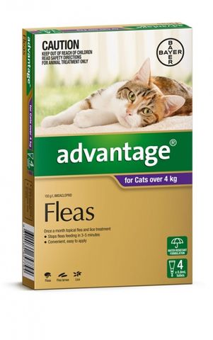 ADVANTAGE Large Cat Purple 4pk 4kg+