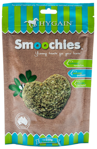 HYGAIN Smoochies Box 10 x 250g