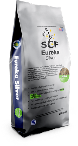 SCF Eureka Silver 20kg  (48)