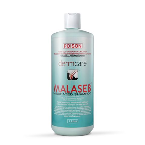 MALASEB Medicated Shampoo 1lt