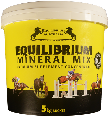 EQUILIBRIUM Mineral Mix 5kg (Yellow)