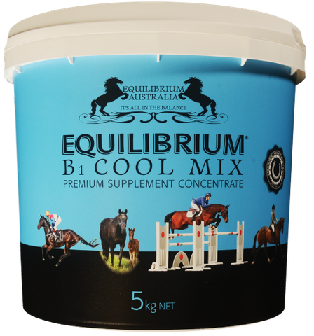 EQUILIBRIUM B1 Cool Mix 5kg   (Blue)