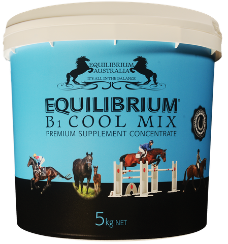 EQUILIBRIUM B1 Cool Mix 5kg   (Blue)