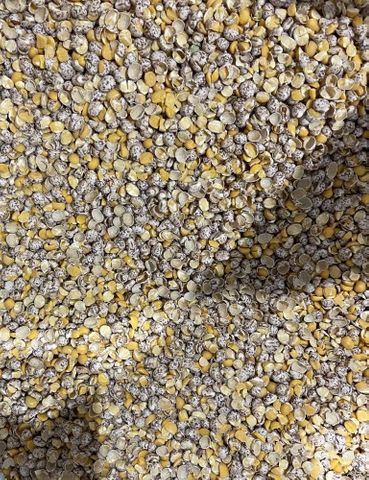 Cracked Lupins 20kg  (48) HUNTERS