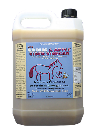 NRG Garlic Cider Vinegar 5lt Nrg