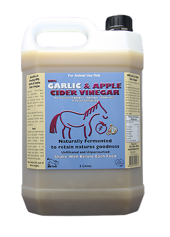 NRG Garlic Cider Vingear 5lt Nrg