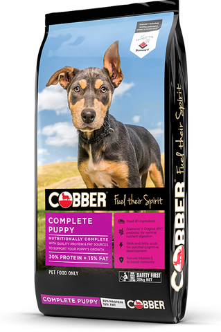 COBBER Puppy Dog 20kg  (36)