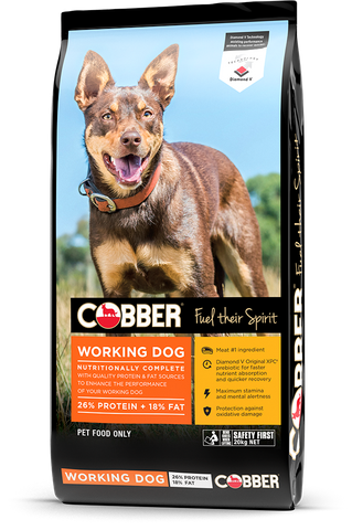 COBBER Working Dog 20kg  (36)