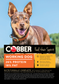 COBBER Working Dog 20kg  (36)