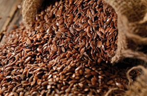 Linseed 20kg HUNTERS