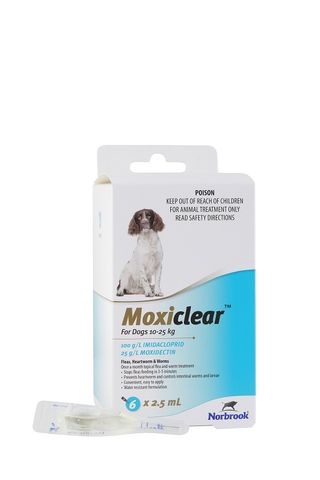 NORBROOK Moxiclear for Dogs 10-25kg 6 pack