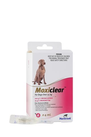 NORBROOK Moxiclear for Dogs Over 25kg 6 pack