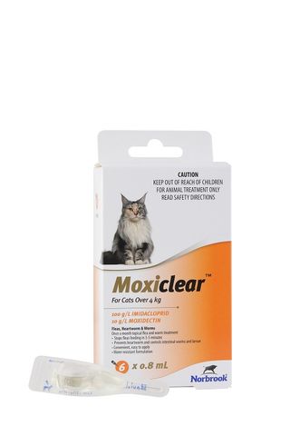 NORBROOK Moxiclear Cats Over 4kg 6 pack
