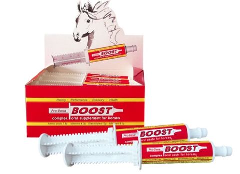 HYGAIN Pro Dosa Boost Paste 80ml  (12)