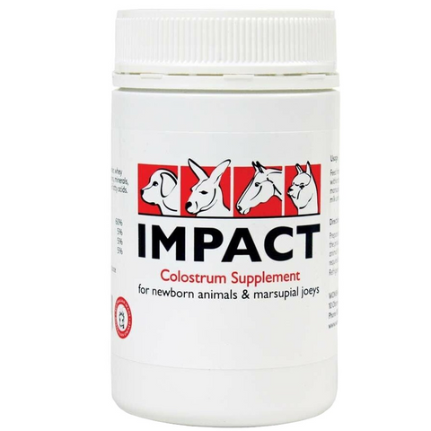 Impact Colostrum Supplement 100g