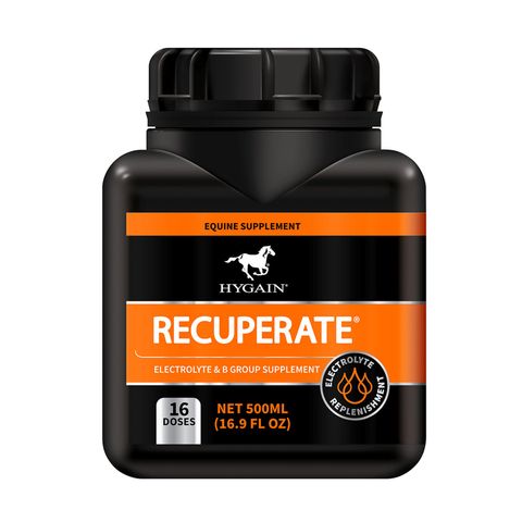 HYGAIN Recuperate 500ml