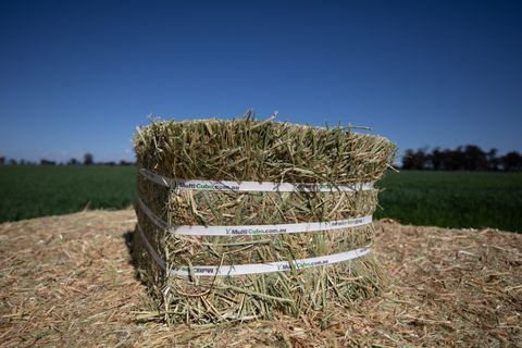 MULTICUBE Compressed Hay Bale - Lucerne - (42 Per Pallet)