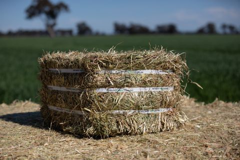 MULTICUBE Compressed Hay Bale - Clover and Rye - (42 Per Pallet)