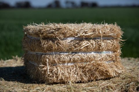 MULTICUBE Compressed Bale - Barley Straw - Short Stemmed (42 Per Pallet)