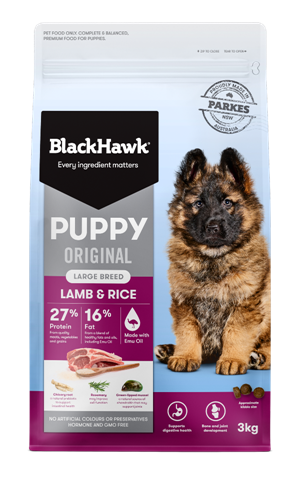 BLACKHAWK Puppy Lg Breed Lamb/Rice 20kg