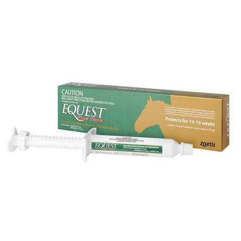 Equest Plus Tape  (20)