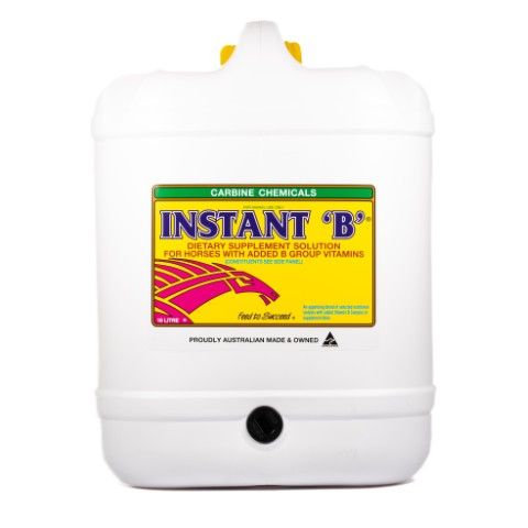 CARBINE Instant B 16lt
