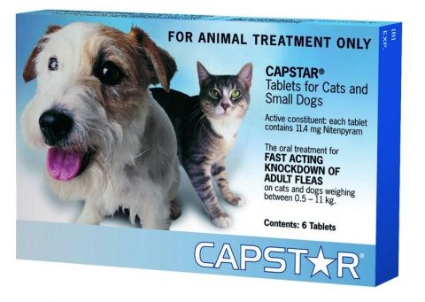 CAPSTAR Sml Dog & Cat 0.5-11kg Blue