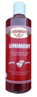 Equinade