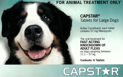 CAPSTAR Lge Dog  11.1-57kg