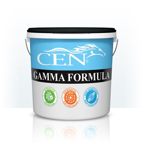 CEN Gamma Formula 2lt