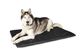 SUPERIOR Heavy Duty Flea-Free Dog Mat Black Jumbo