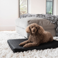 SUPERIOR Heavy Duty Flea-Free Dog Mat Black Jumbo