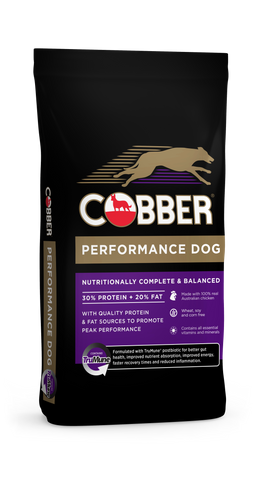 COBBER Performance Dog 20kg  (36)