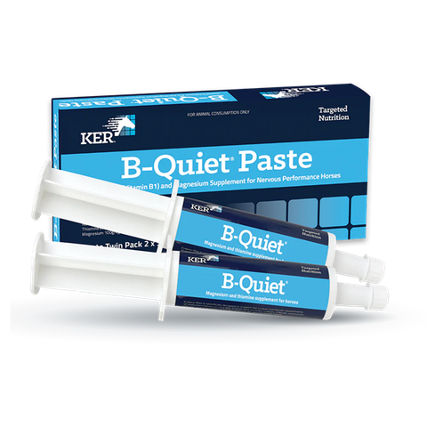 KER B Quiet Paste 2 x 30g Twin Pack