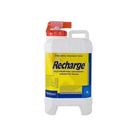 VIRBAC Recharge Horse 5lt