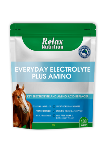 RELAX Everyday Electrolyte + Amino 2kg