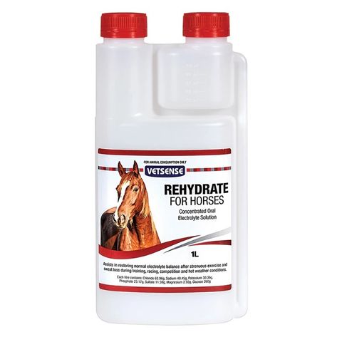 VETSENSE Reydrate for Horses 1lt