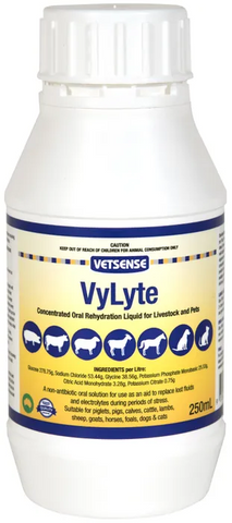 VETSENSE Vylyte 250ml