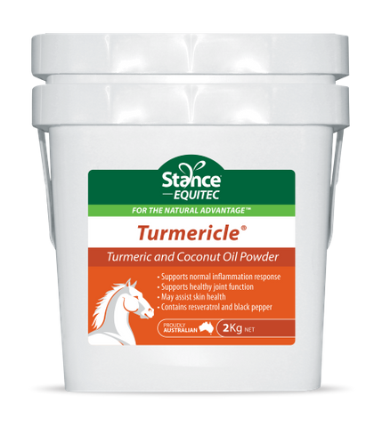 EQUITEC Turmericle 2kg
