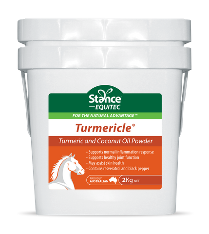 EQUITEC Turmericle 2kg